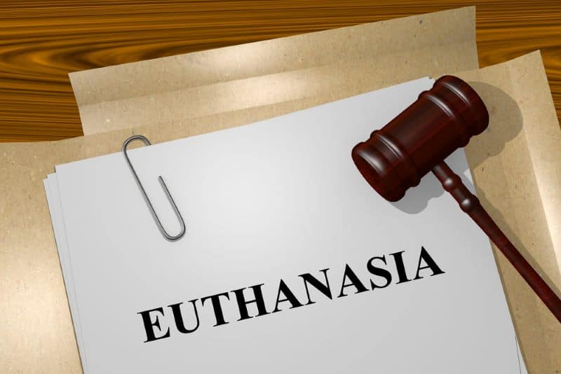 euthanasia legal documents as hamster owner asks "How Do You Humanely Euthanize A Pet Hamster At Home?"
