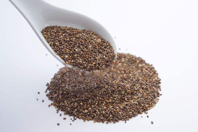 ladle of chia seeds as pet owners ask "can hamsters eat chia seeds"